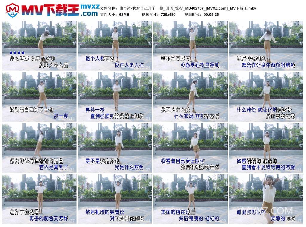 曲肖冰-我对自己开了一枪_国语_流行_MD402757